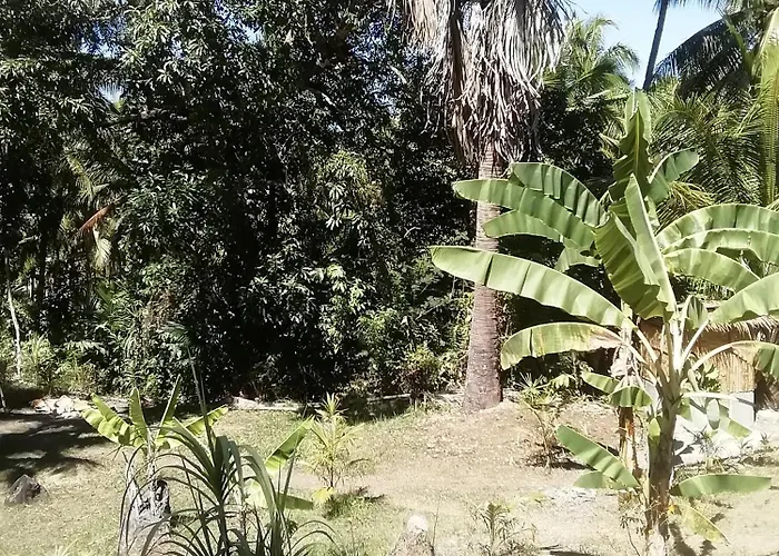Era's Garden